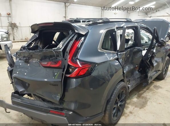 5J6RS6H81RL029317 2024 HONDA CR-V Dark Blue 