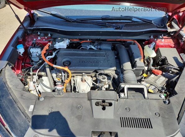 5J6RS6H89SL003098 2025 HONDA CR-V Red Սալոնի հետևի տեսք