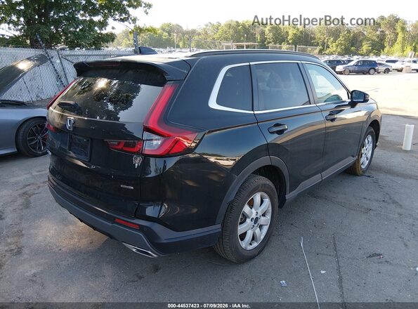 5J6RS6H94RL024962 2024 HONDA CR-V Черный Задняя правая четверть