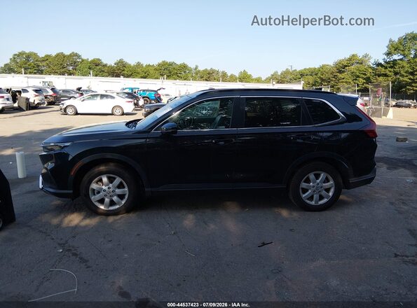 5J6RS6H94RL024962 2024 HONDA CR-V Черный Вид задней части салона