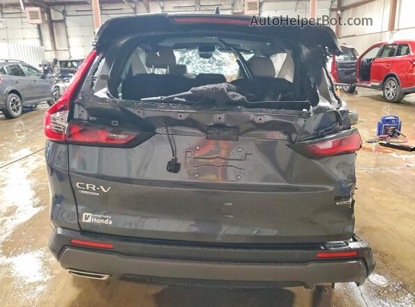 5J6RS6H99SL040872 2025 HONDA CR-V Charcoal Rear view