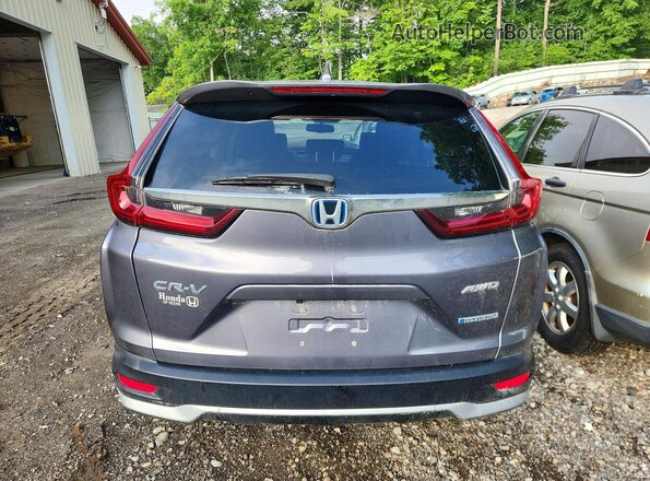 5J6RT6H82NL036686 2022 HONDA CR-V Gray Vista trasera