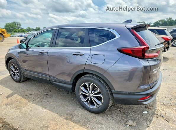 5J6RT6H8XNL043367 2022 HONDA CR-V Gray Հետևի ձախ