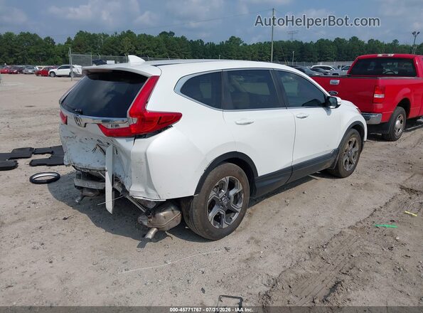 5J6RW1H54KA031190 2019 HONDA CR-V White Trasero derecho