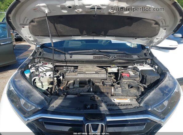 5J6RW1H54LL013312 2020 HONDA CR-V Белый Вид сзади