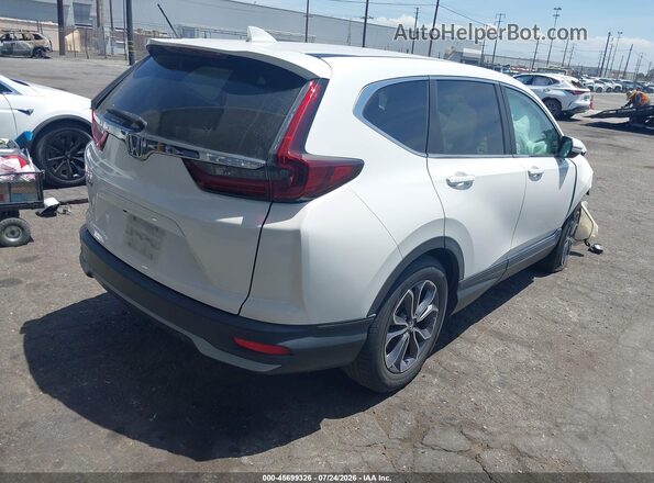 5J6RW1H5XNA016701 2022 HONDA CR-V White Tył prawy