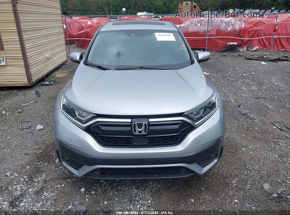 5J6RW1H82MA002445 2021 HONDA CR-V Gray Вид задньої частини салону