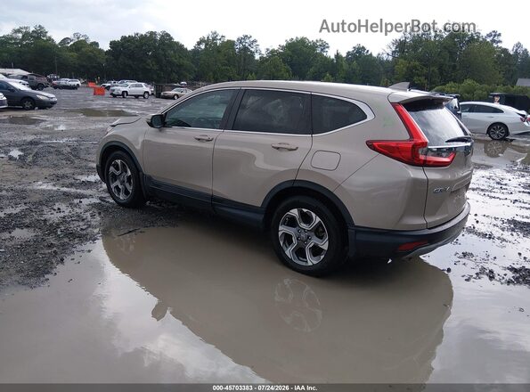 5J6RW1H84KL002951 2019 HONDA CR-V Tan Задня ліва чверть