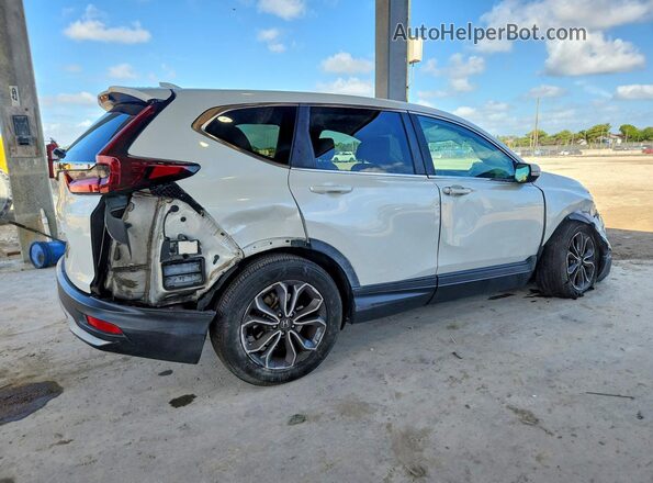 5J6RW1H87LL008437 2020 HONDA CR-V White Հետևի աջ