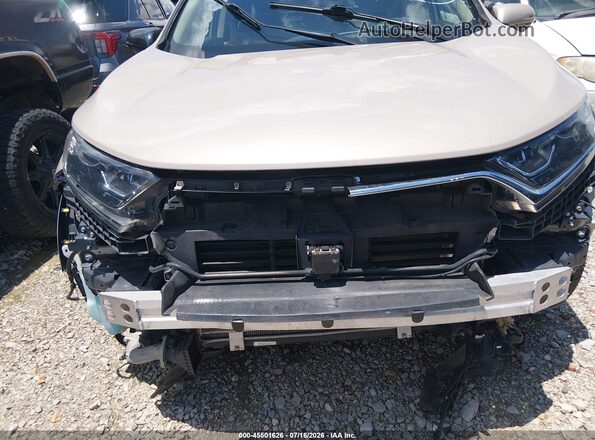5J6RW1H88JL005043 2018 HONDA CR-V Золотой Вид задней части салона