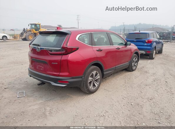 5J6RW2H29LL020302 2020 HONDA CR-V Red Tył prawy