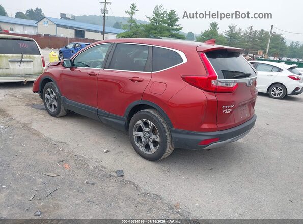 5J6RW2H52KL017136 2019 HONDA CR-V Red უკანა მარცხენა