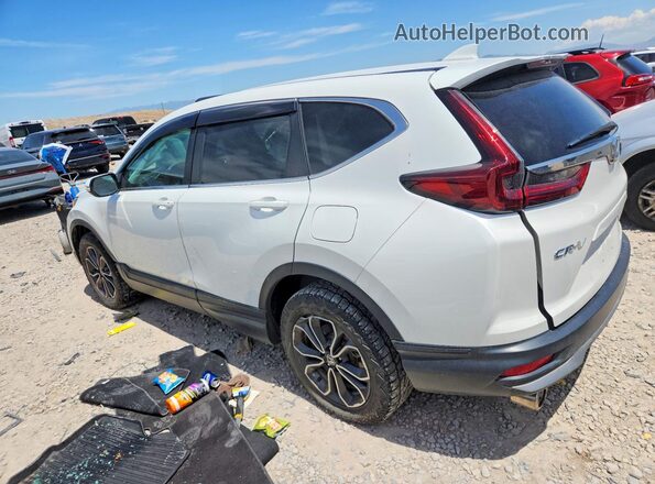 5J6RW2H53LL019446 2020 HONDA CR-V White Հետևի ձախ