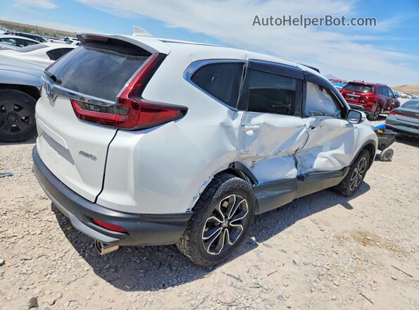 5J6RW2H53LL019446 2020 HONDA CR-V White Հետևի աջ