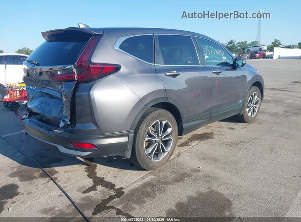 5J6RW2H53LL020256 2020 HONDA CR-V Серый Задняя правая четверть