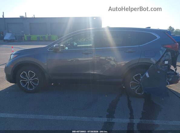 5J6RW2H53LL020256 2020 HONDA CR-V Серый Панорамный вид салона 360°