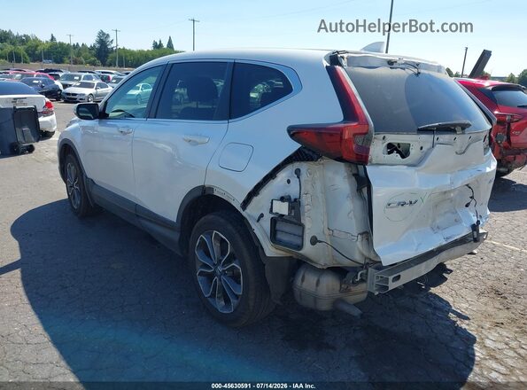 5J6RW2H54LA010606 2020 HONDA CR-V White Задня ліва чверть
