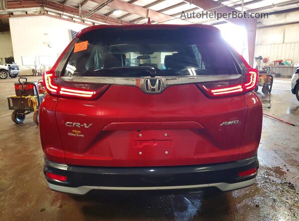 5J6RW2H54ML012555 2021 HONDA CR-V Red Հետևի տեսք