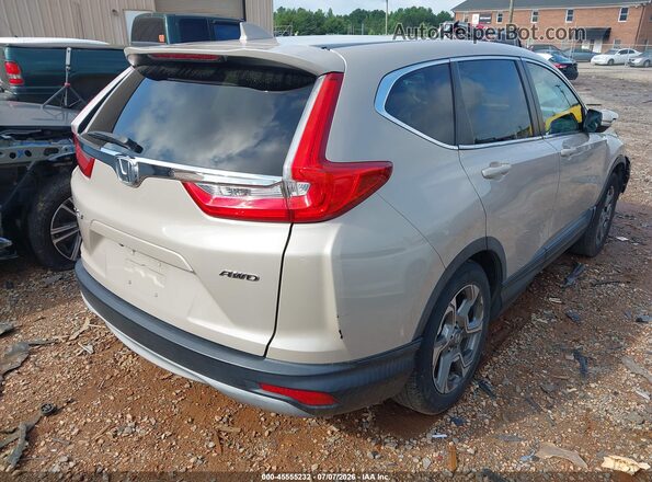 5J6RW2H56HL073198 2017 HONDA CR-V Желто-коричневый Задняя правая четверть