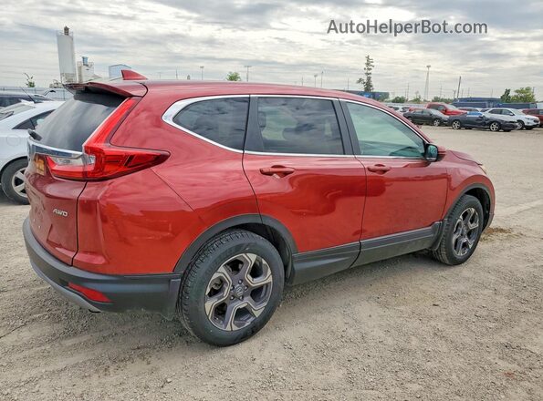 5J6RW2H59HL050708 2017 HONDA CR-V Red უკანა მარჯვენა