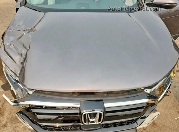 5J6RW2H5XLA020217 2020 HONDA CR-V Серый Вид задней части салона
