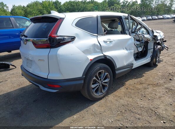 5J6RW2H80LA020575 2020 HONDA CR-V White Հետևի աջ