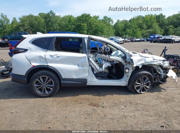 5J6RW2H80LA020575 2020 HONDA CR-V White Սալոնի հետևի տեսք