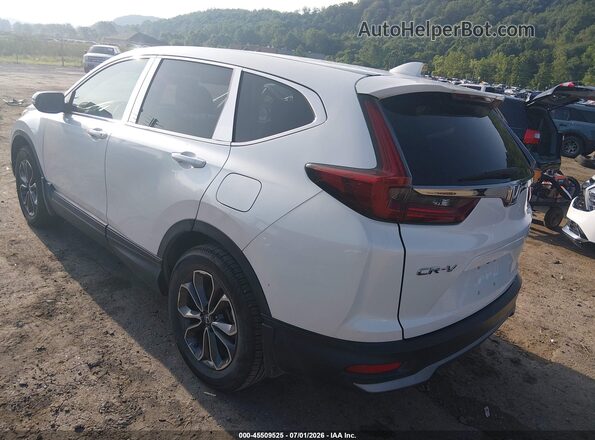 5J6RW2H82MA015024 2021 HONDA CR-V White Tył lewy