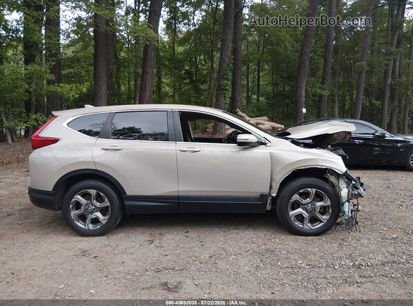 5J6RW2H87HL018561 2017 HONDA CR-V Beige Սալոնի հետևի տեսք