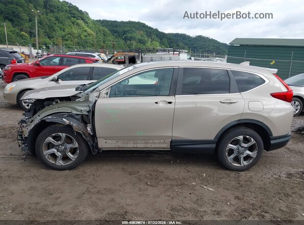 5J6RW2H89JL000066 2018 HONDA CR-V Желто-коричневый 