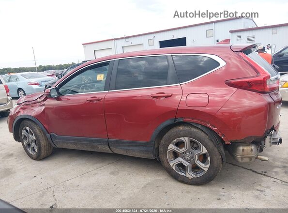 5J6RW2H89JL029079 2018 HONDA CR-V Красный Вид задней части салона