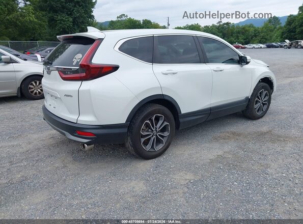 5J6RW2H8XLL016862 2020 HONDA CR-V White Rear right