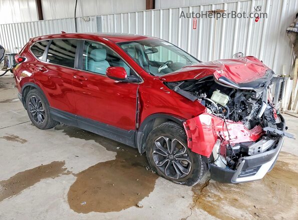 5J6RW2H8XLL031085 2020 HONDA CR-V Maroon Przód prawy