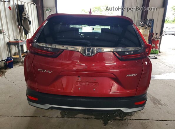 5J6RW2H8XLL031085 2020 HONDA CR-V Maroon Widok z tyłu