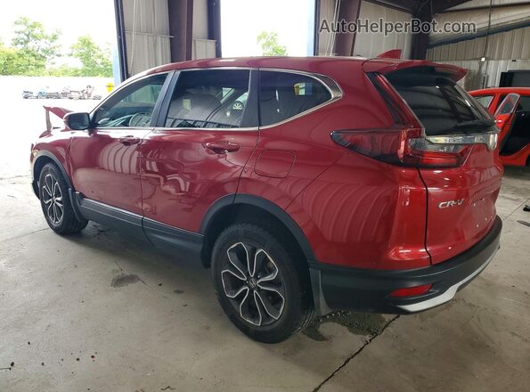 5J6RW2H8XLL031085 2020 HONDA CR-V Maroon Tył lewy