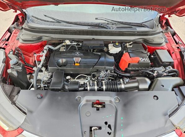 5J8TC2H31RL025274 2024 ACURA RDX Red Engine compartment view