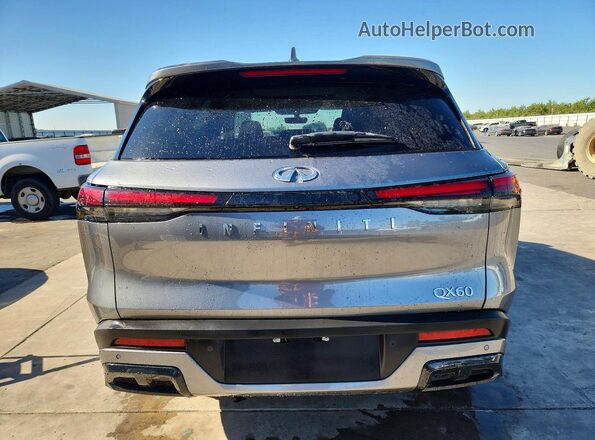 5N1AL1FRXSC345072 2025 INFINITI QX60 Серый Вид сзади
