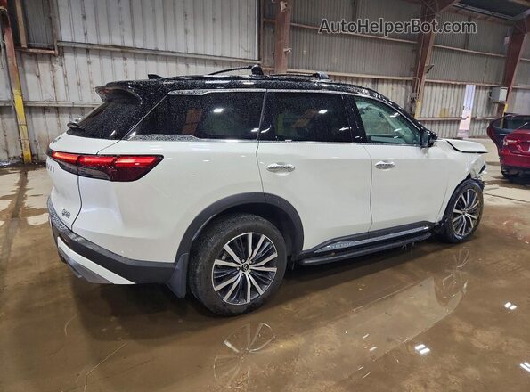 5N1AL1HU0SC352503 2025 INFINITI QX60 White Tył prawy