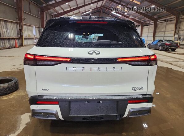 5N1AL1HU0SC352503 2025 INFINITI QX60 White Widok z tyłu