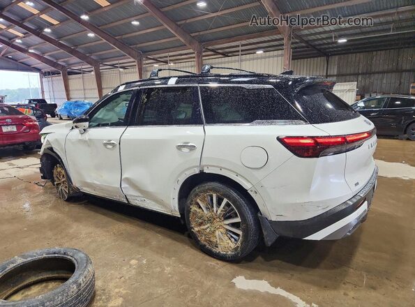 5N1AL1HU0SC352503 2025 INFINITI QX60 White Tył lewy