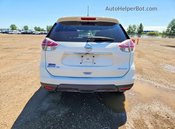 5N1AT2MV4GC842440 2016 NISSAN ROGUE White Вид ззаду