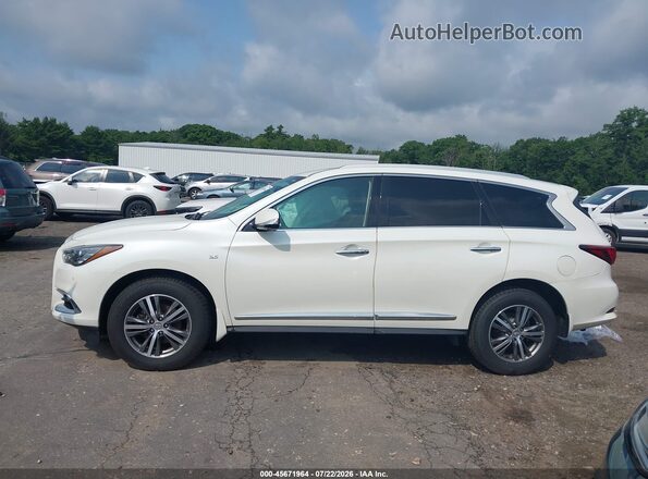 5N1DL0MM4LC502790 2020 INFINITI QX60 Белый Панорамный вид салона 360°