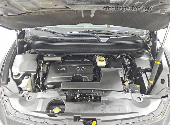 5N1DL0MNXKC535266 2019 INFINITI QX60 Black Vista del compartimento del motor
