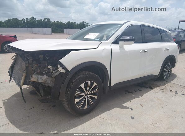 5N1DL1ER9RC358940 2024 INFINITI QX60 Белый Передняя левая четверть