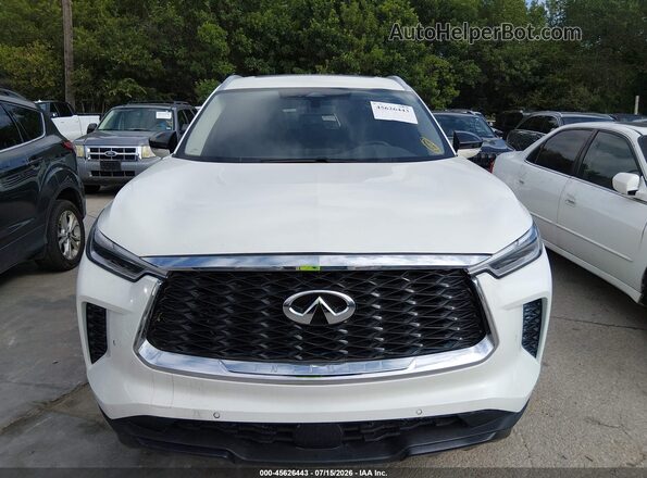 5N1DL1FR2RC354193 2024 INFINITI QX60 Champagne Front view