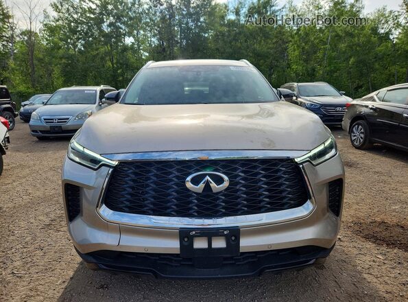 5N1DL1FS2PC362262 2023 INFINITI QX60 Tan წინა ხედი