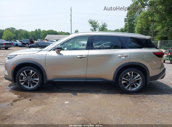 5N1DL1FS4PC331515 2023 INFINITI QX60 Gold Սալոնի հետևի տեսք