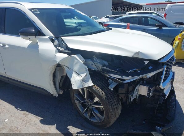 5N1DL1FS5PC349229 2023 INFINITI QX60 White უკანა სალონის ხედი