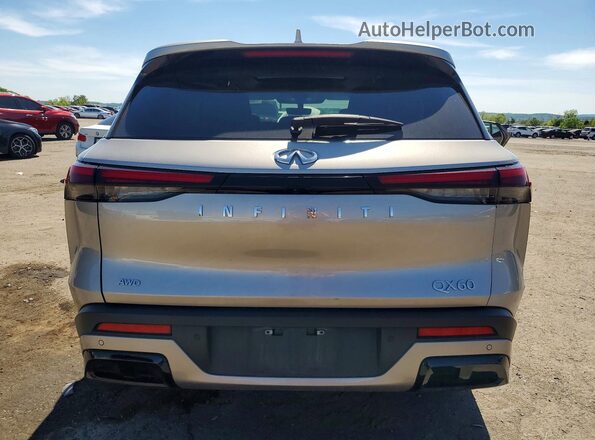5N1DL1FS8RC338194 2024 INFINITI QX60 Gold Rear view