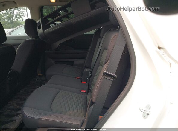 5N1DR3BC0RC231682 2024 NISSAN PATHFINDER Black Widok naklejki z numerem VIN